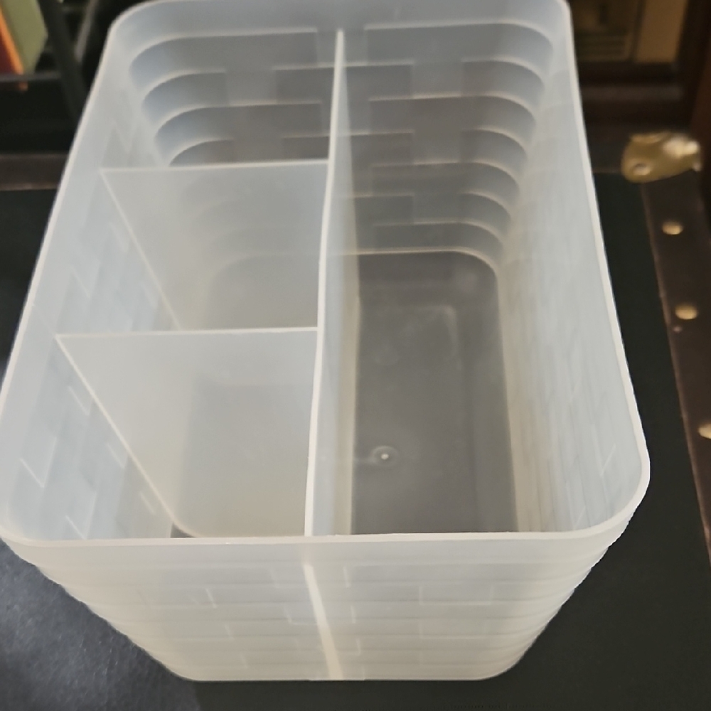Transparent Storage Organizer Bin
